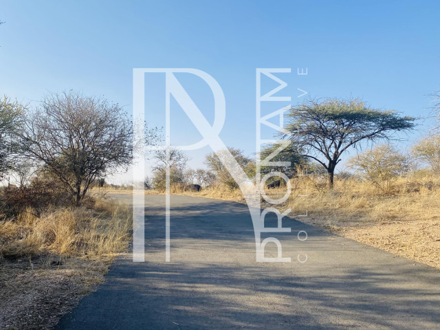 Main road to the buildings