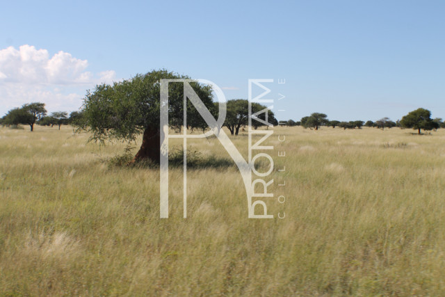 152 Ha Plot For Sale - Ref.No. 2075