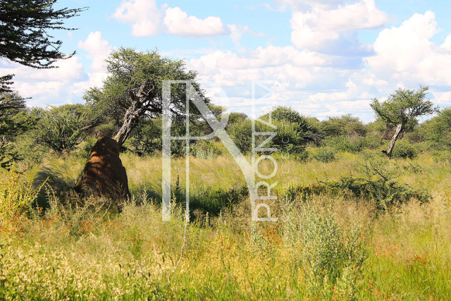 30.08 Ha Plot For Sale