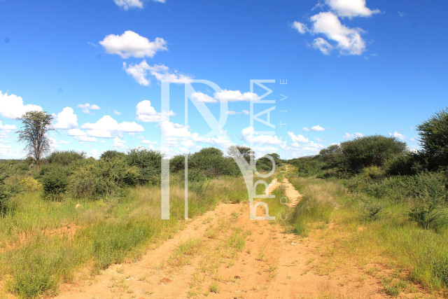 30.08 Ha Plot For Sale