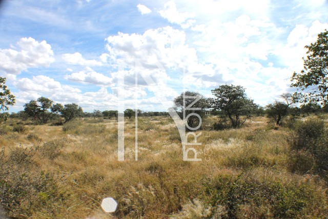 1268 Ha Farm For Sale - PRIME LOCATION - Ref.No. 2063