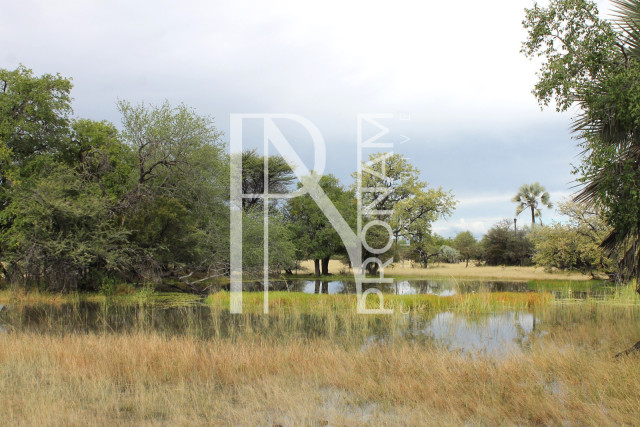 5409 Ha Farm For Sale 