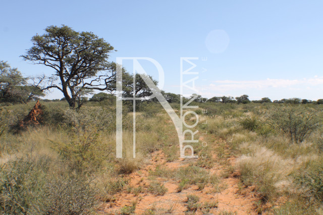 129 Ha Plot For Sale - Ref.No. 2076