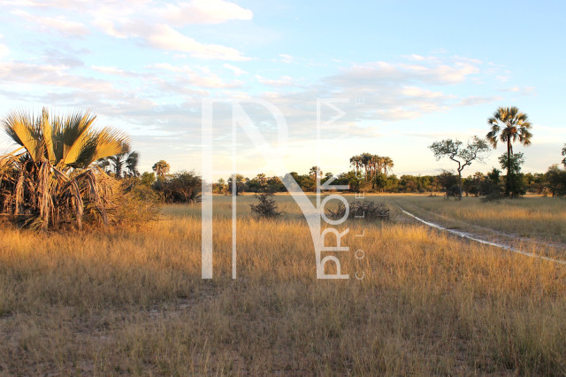 5409 Ha Farm For Sale 