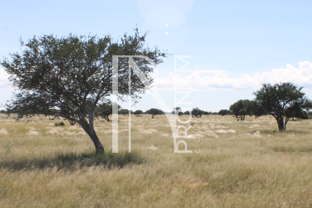 129 Ha Plot For Sale - Ref.No. 2076