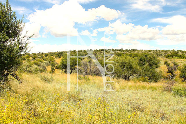 4.0 Ha Plot For Sale 