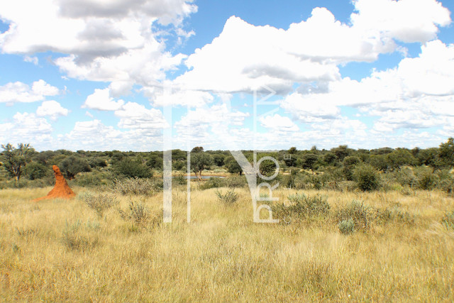 1268 Ha Farm For Sale - PRIME LOCATION - Ref.No. 2063