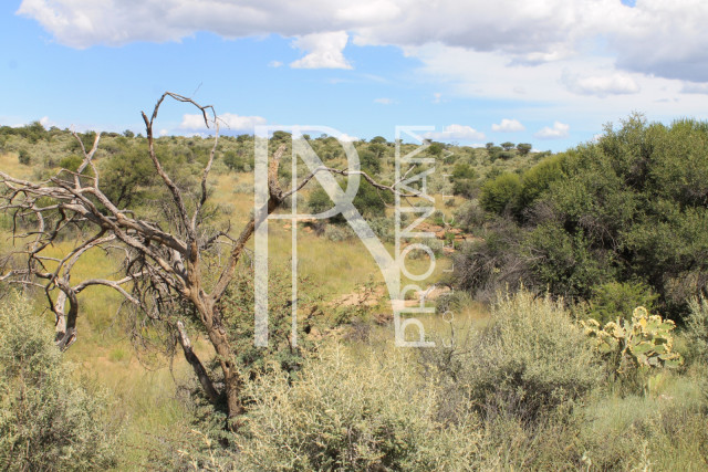 4.13 Ha Plot For Sale