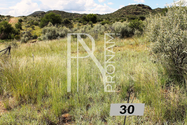 3.75 Ha Plot For Sale - Ref.No. 2044