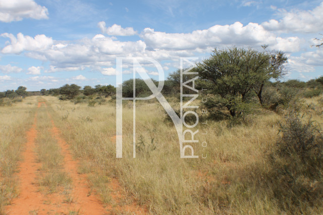 1268 Ha Farm For Sale - PRIME LOCATION - Ref.No. 2063