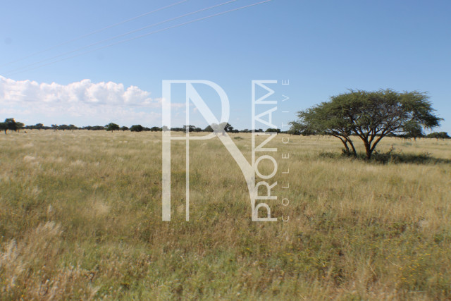 147 Ha Plot For Sale - Ref.No. 2073