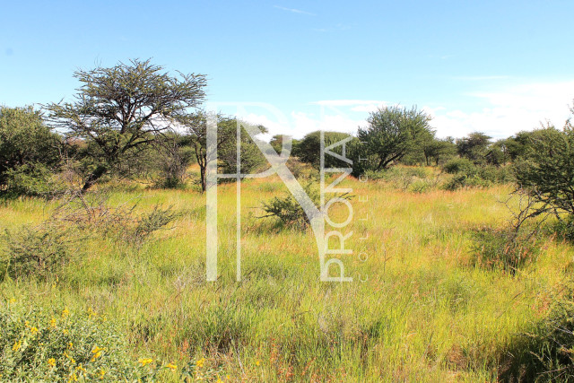 30.08 Ha Plot For Sale