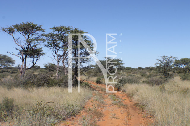 129 Ha Plot For Sale - Ref.No. 2076