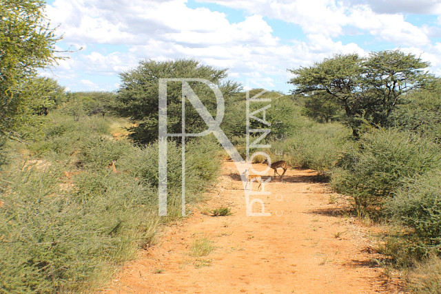 1268 Ha Farm For Sale - PRIME LOCATION - Ref.No. 2063