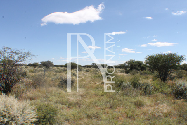 155 Ha Plot For Sale - Ref.No. 2065