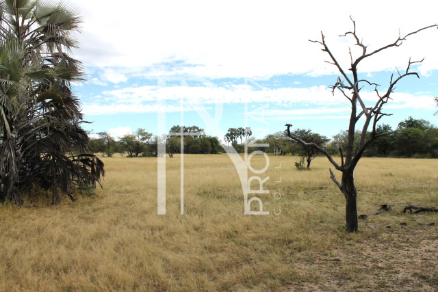 5409 Ha Farm For Sale 