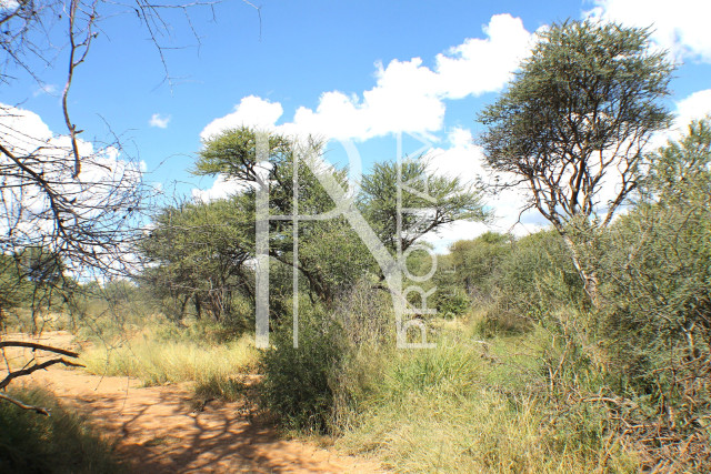 1268 Ha Farm For Sale - PRIME LOCATION - Ref.No. 2063