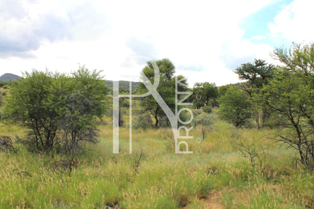 4.02 Ha Plot For Sale