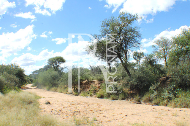 1268 Ha Farm For Sale - PRIME LOCATION - Ref.No. 2063
