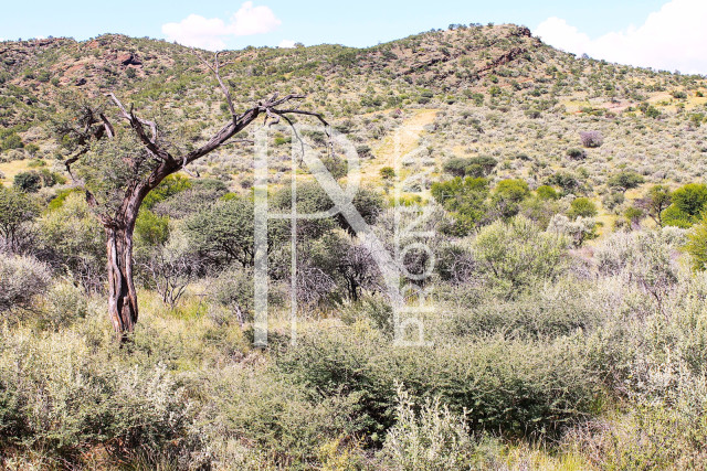 4.13 Ha Plot For Sale