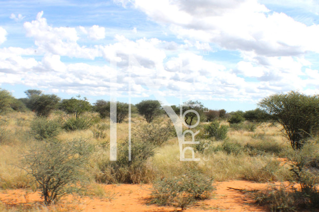 1268 Ha Farm For Sale - PRIME LOCATION - Ref.No. 2063