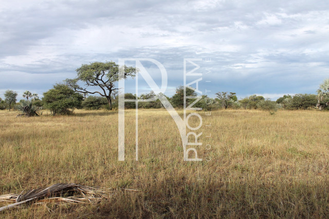 5409 Ha Farm For Sale 