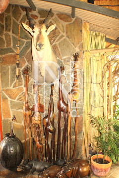 Reminds you about the african bush