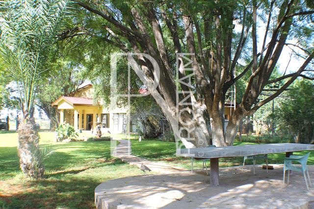 1268 Ha Farm For Sale - PRIME LOCATION - Ref.No. 2063