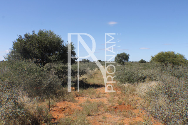 147 Ha Plot For Sale - Ref.No. 2073