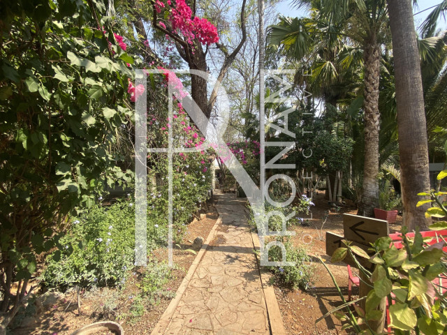 A garden paradise