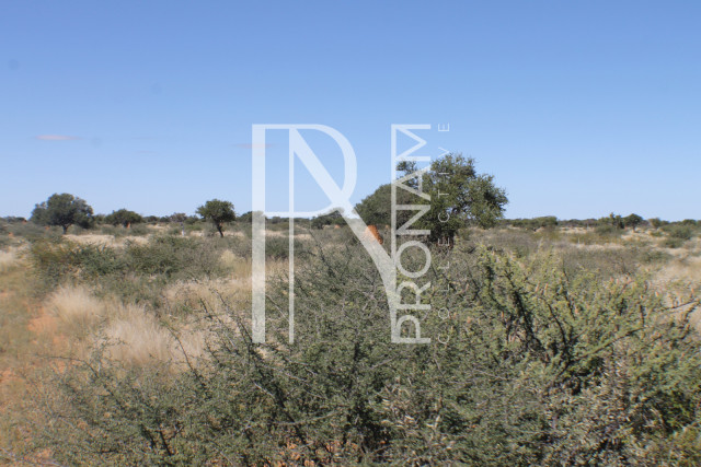 147 Ha Plot For Sale - Ref.No. 2073