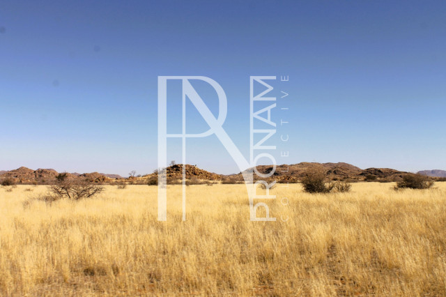 1 Farm For Sale