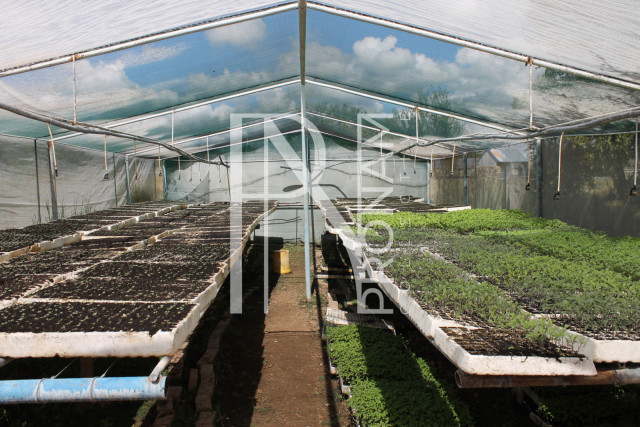 200 Ha Farm For Sale