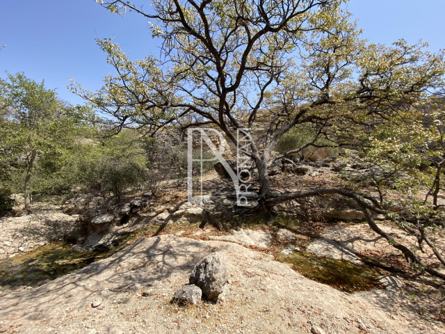 10000 Ha - Luxurious Lodge - Ref.No. 2006
