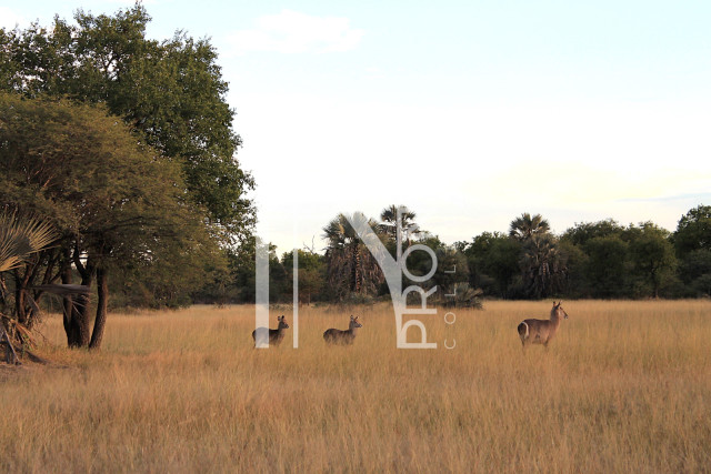 5409 Ha Farm For Sale 