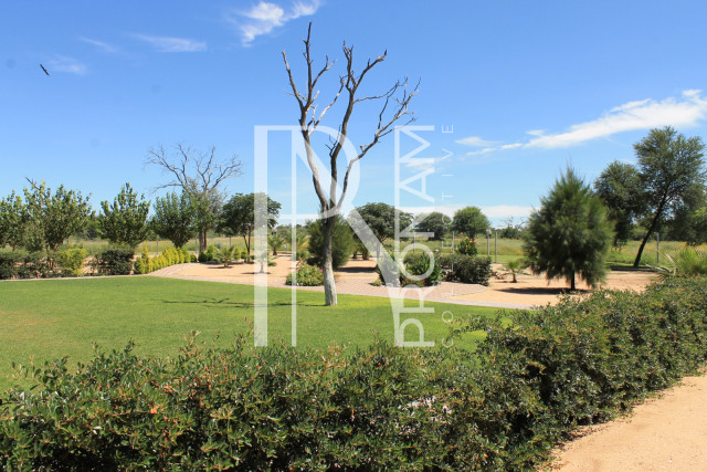 the land mark