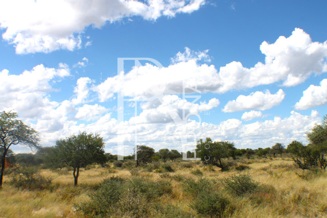 1268 Ha Farm For Sale - PRIME LOCATION - Ref.No. 2063