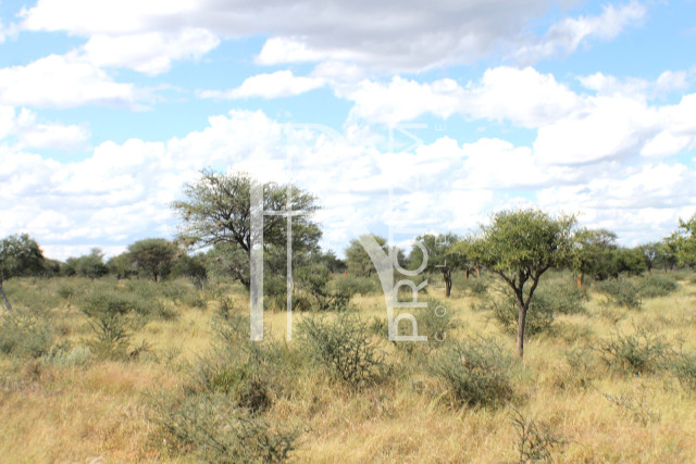 1268 Ha Farm For Sale - PRIME LOCATION - Ref.No. 2063
