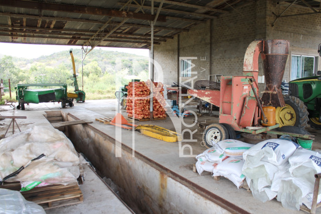 200 Ha Farm For Sale