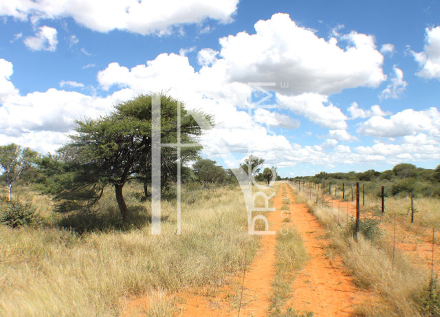 1268 Ha Farm For Sale - PRIME LOCATION - Ref.No. 2063