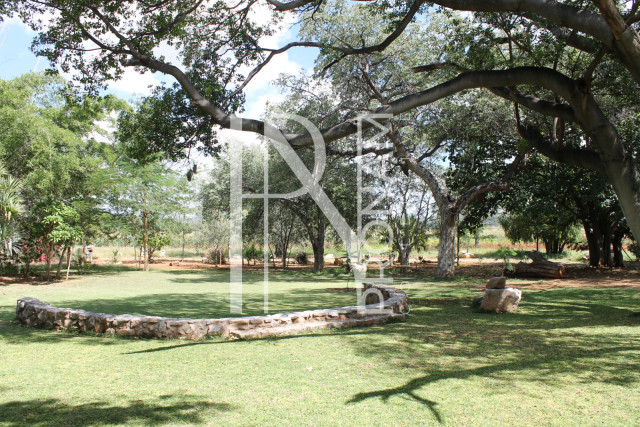 200 Ha Farm For Sale