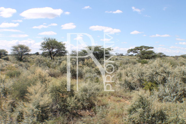 163 Ha Plot For Sale - Ref.No. 2066