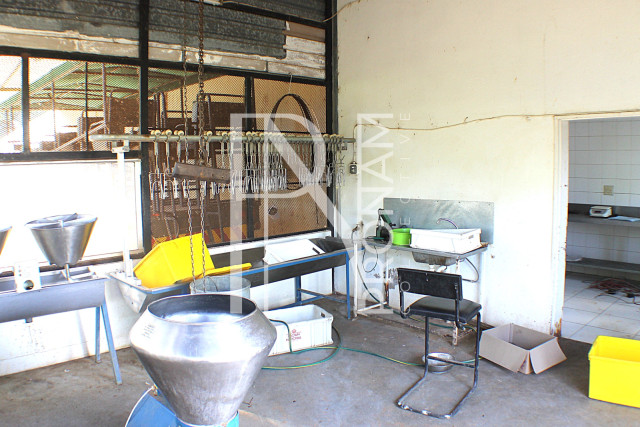 1268 Ha Farm For Sale - PRIME LOCATION - Ref.No. 2063