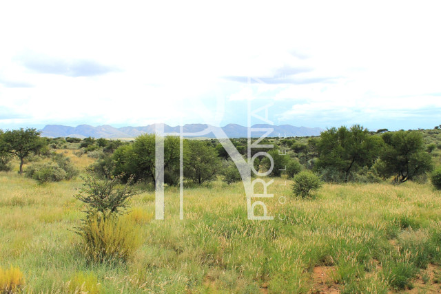 4.02 Ha Plot For Sale