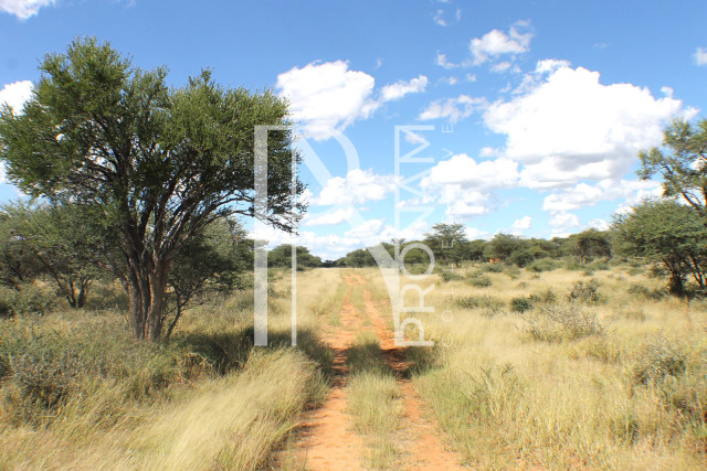 1268 Ha Farm For Sale - PRIME LOCATION - Ref.No. 2063