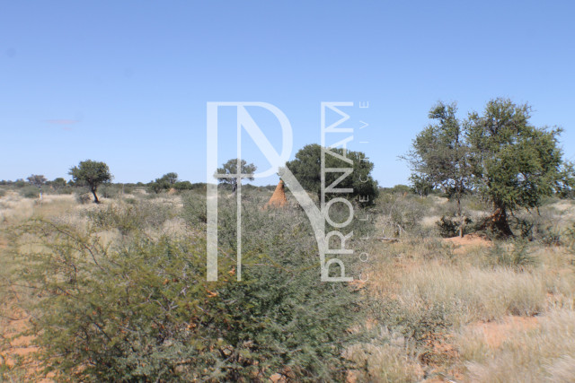 147 Ha Plot For Sale - Ref.No. 2073