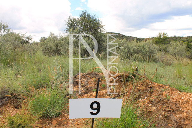 4.02 Ha Plot For Sale - Ref.No. 2023