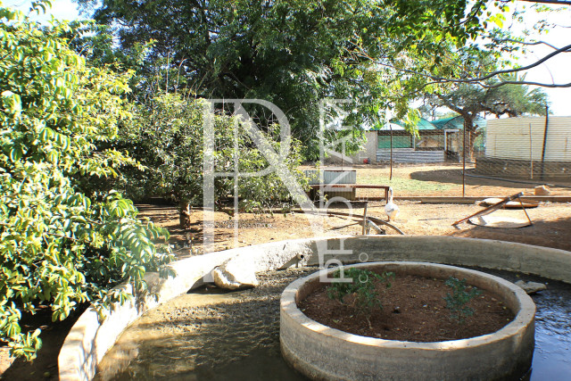 1268 Ha Farm For Sale - PRIME LOCATION - Ref.No. 2063