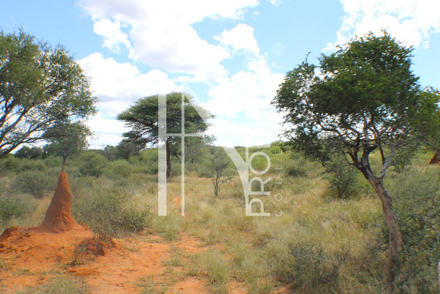 1268 Ha Farm For Sale - PRIME LOCATION - Ref.No. 2063