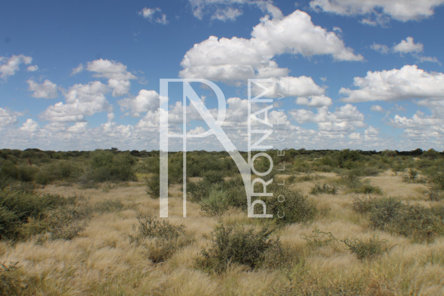 1268 Ha Farm For Sale - PRIME LOCATION - Ref.No. 2063
